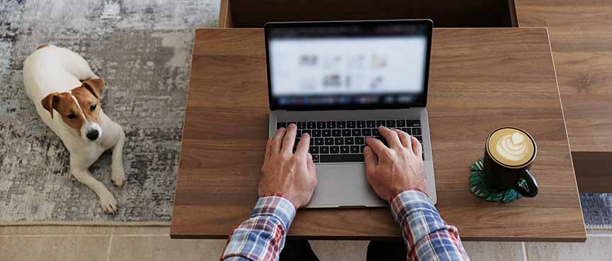 work from home streamline operations man and dog working from home